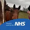 Sally Dixon - @saljd1 - TikTok