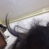 sallydizon - @dizonsallyy - TikTok