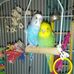 Sally Doda - Facebook