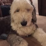 Sally Dodd - @sally.dodd.9 - Instagram