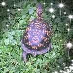 Sally Doddridge - @sallydoddridge - Instagram