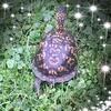 sallydoddridge - @sallydoddridge - TikTok