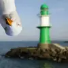 sallydoran312 - @sallydoran312 - TikTok