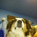 Sally Doss - Facebook