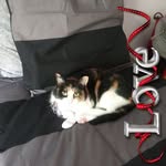 Sally Dotson - @sally.dotson.146 - Instagram