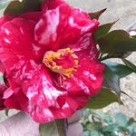 Sally Dover - @doversallyg - Instagram