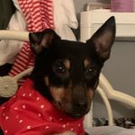 @sarah_sally_dover - Instagram