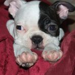 Sally Dowell - Facebook