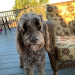 Sally Dowell - @sallydghee - Instagram