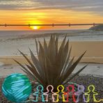 Sally Dowell Showalter - Facebook