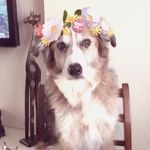 Sally Downing - @sallyann0706 - Instagram