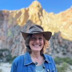 Sally Andrew - @sallyandrewkaroo - Instagram