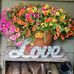 Sally Drew - Facebook