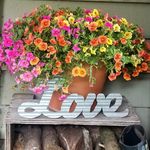 Sally Drew - @sallydrew1 - Instagram