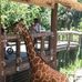 Sally Driggers - Facebook