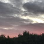 Sally Duff - @duffsally8 - Instagram