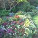 Sally Duff - Facebook