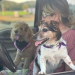 Sally Duncan - @duncanfarmsthoroughbreds - Instagram