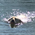 Sally Duncan - @sallyadunc3309 - Instagram