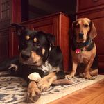 Sally&Duncan - @sally_and_duncan - Instagram