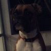 dunkley_ - @dunkley_ - TikTok