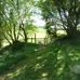 Sally Dunkley - Facebook