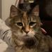 Sally Dunlap - Facebook