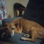 Sally Dunlap - @invstgtr107 - Instagram