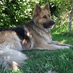 Sally Dyson - @dyson.sally - Instagram