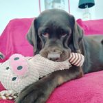 Sally - @nessundysonaspiracomesally - Instagram