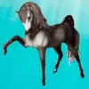 ☆ Star stable online☆ - @sally.mooneagle - TikTok