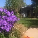 Sally Eagles - @eagles.sally - Instagram