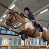 Sally Ponyeagle - @sallyponyeagle - TikTok