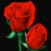 eby_sally - @eby_sally - TikTok