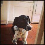 Sally Eldridge - @saeldridge67 - Instagram