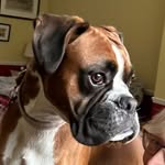 Sally Eldridge - @sallyeldridge57 - Instagram