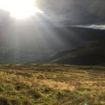 Sally Eldridge - @eldridge.sally - Instagram
