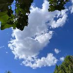 Sally Ellison - @llison5233045 - Instagram