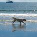 Sally Embry - Facebook