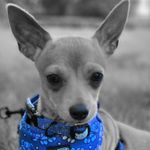 sally emery - @toby.a.mory - Instagram