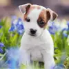 Sally emery - @sally._.emeryx - TikTok