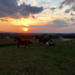 Sally Köpps - @sallykoepps - Instagram