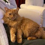 sally - @sallyepps17 - Instagram