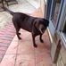 Sally Erwin - Facebook