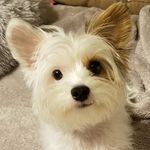Sally Merwin - @sallylmerwin - Instagram