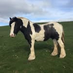 Sally Eversfield - @sallyeversfield - Instagram