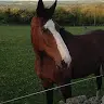 Sally Farley - @sallyfarley0 - TikTok
