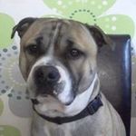 Sally Farley - @sallyshouse14 - Instagram