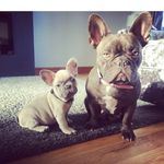 Sally - @sallyfarley85 - Instagram