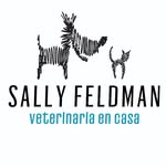 Sally Feldman Veterinaria - @sallyfeldvet - Instagram